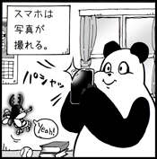 写真が撮れる